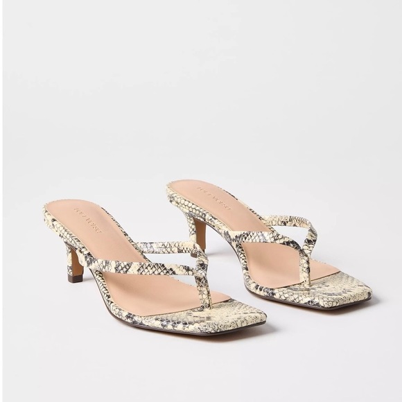 LOFT Shoes - LOFT Snake-Print Thong Kitten Heels - Beige/Black